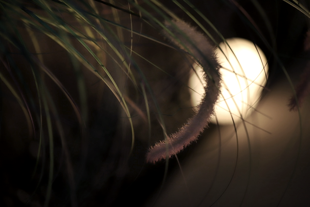 031.png
